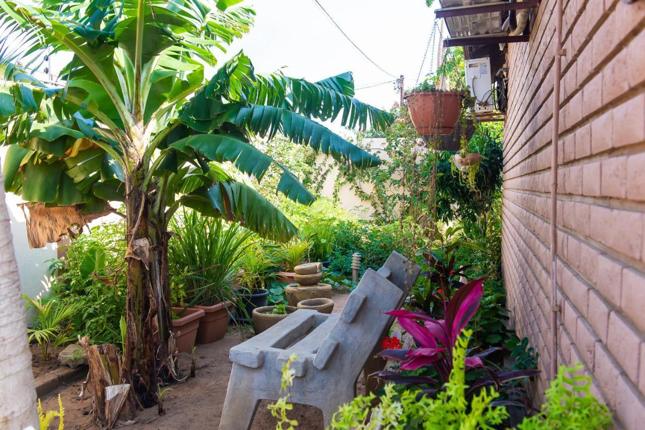 Casa Da Noleen Matola المظهر الخارجي الصورة